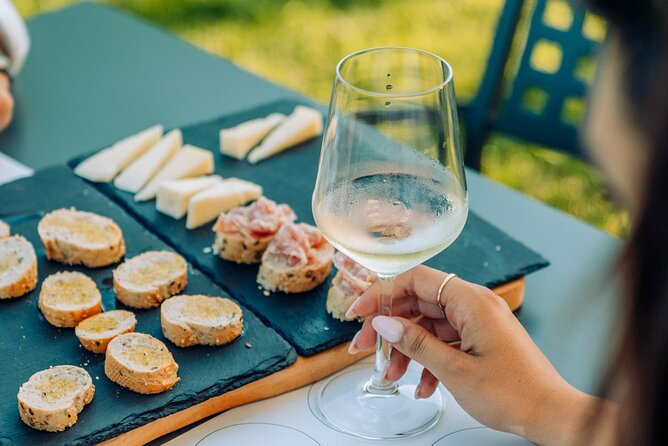 Wine and Food Tasting in the Vineyards in Lazise - Walking through the vineyard