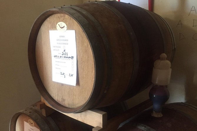Wine and olive oil tastings with the locals - Talking with Tuscan winemakers
