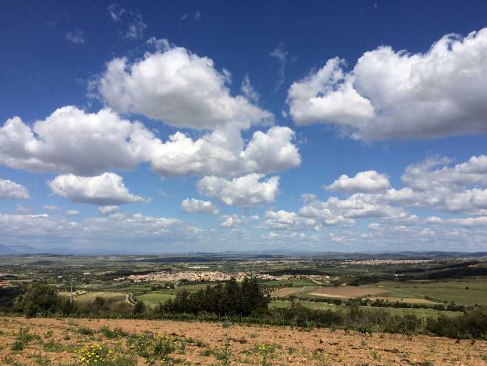 Wine Experience around Cagliari - Five things to know before booking