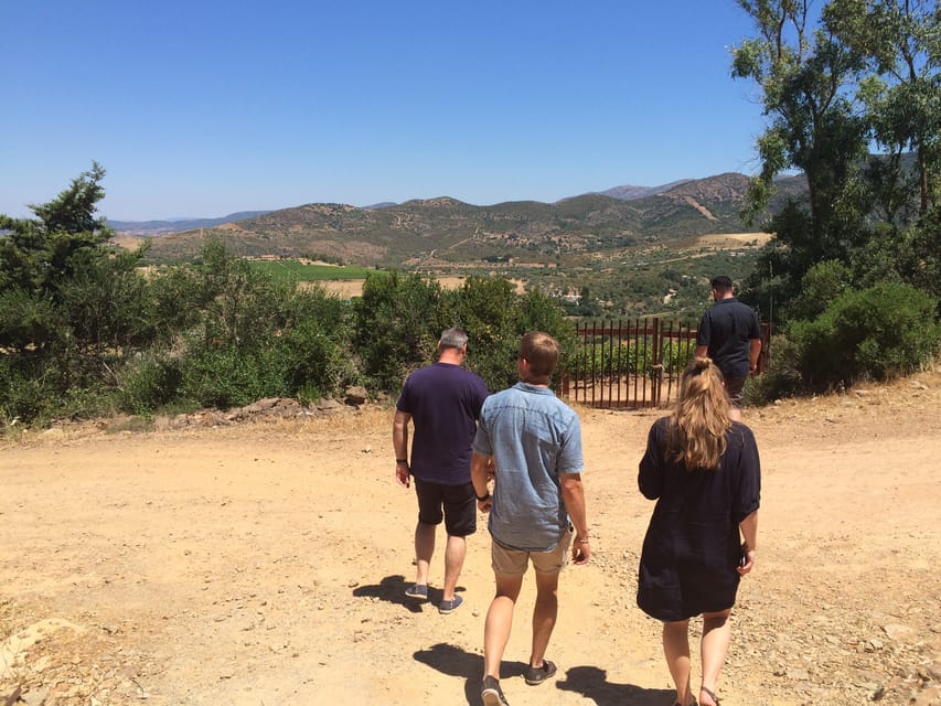 Wine Experience around Cagliari - Meeting Giuseppe at the winery