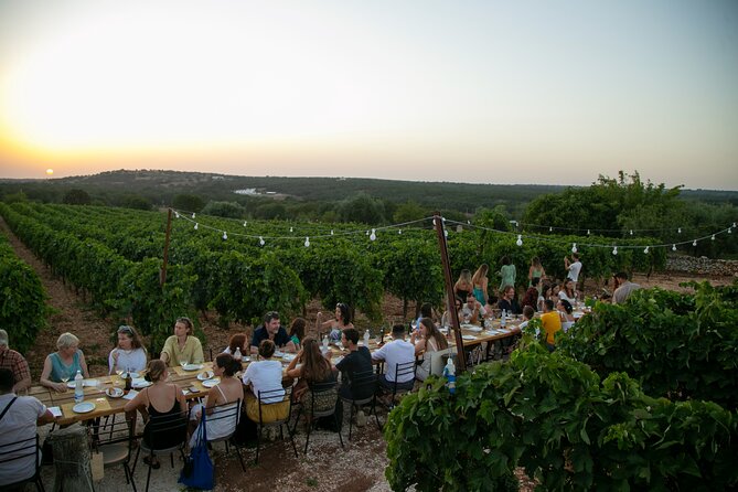 Wine Experience: vineyard, wines and food - Arriving at Trulli il Castagno near Martina Franca