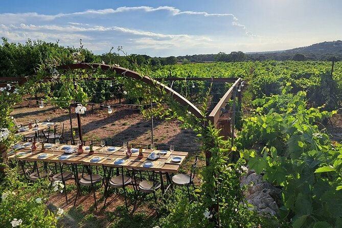 Wine Experience: vineyard, wines and food - The social side of the long table