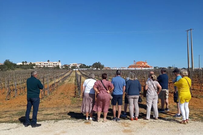 Wine Lovers: Winery Tour w/ Tasting & Tapas (Albufeira/Vilamoura) - Who should book this Albufeira wine tour?