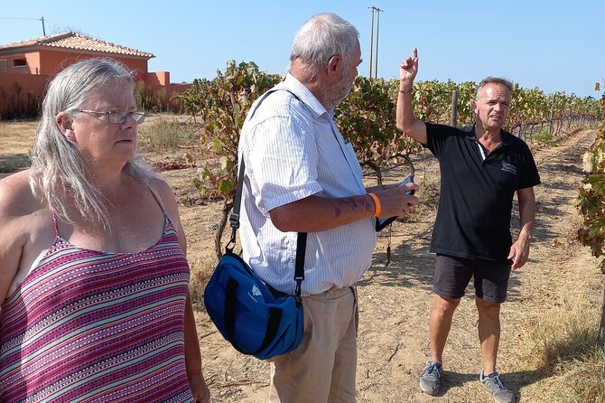 Wine Lovers: Winery Tour w/ Tasting & Tapas (Albufeira/Vilamoura) - What you learn among the vines