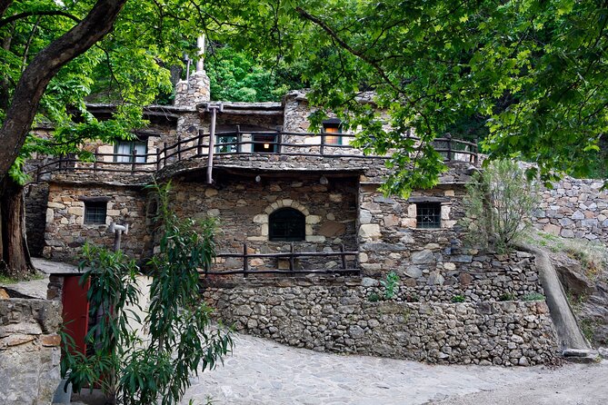 Wine & Olive Oil Tour with Lunch at Milia Mountain Retreat - The best parts of the day at a glance