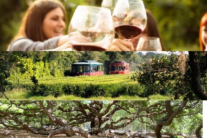 Wine Sippin'-Tea Drinkin'-Tree Huggin' Lowcountry Sightseeing - Key reasons to consider this Lowcountry outing