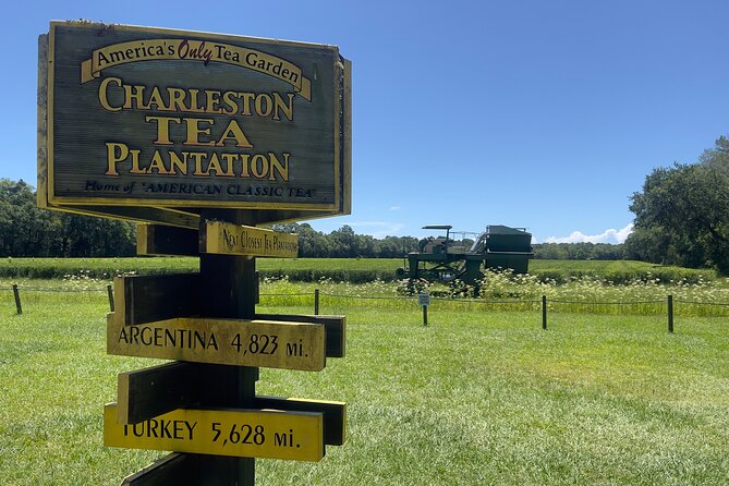 Wine Sippin'-Tea Drinkin'-Tree Huggin' Lowcountry Sightseeing - Guides Leanne and Jay make the difference