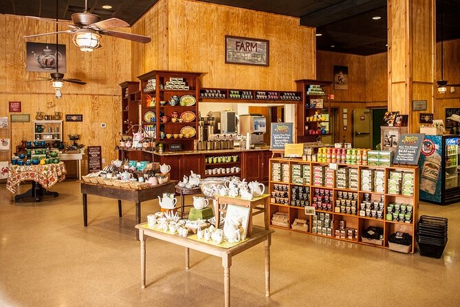 Wine Sippin'-Tea Drinkin'-Tree Huggin' Lowcountry Sightseeing - Comfort, timing, and practical planning