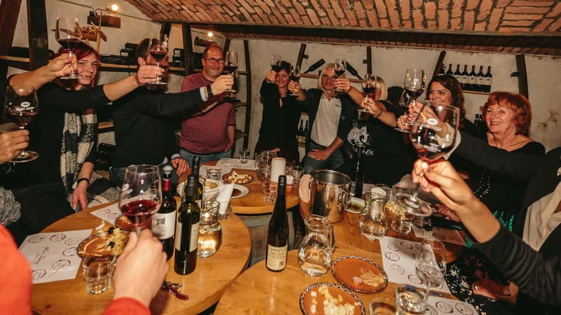 Wine Tasting Bled with a sommelier - Who should book this Bled experience?