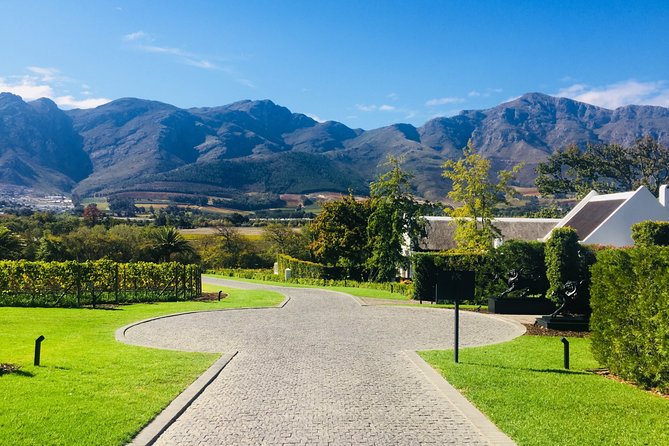 Wine tasting - Boutique farms - The 9:00 a.m. start and the road to wine country