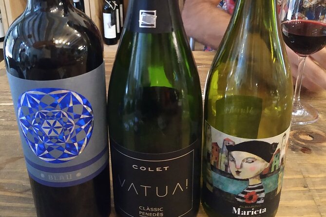 Wine Tasting Experience in Barcelona - Five wines, from cava to red
