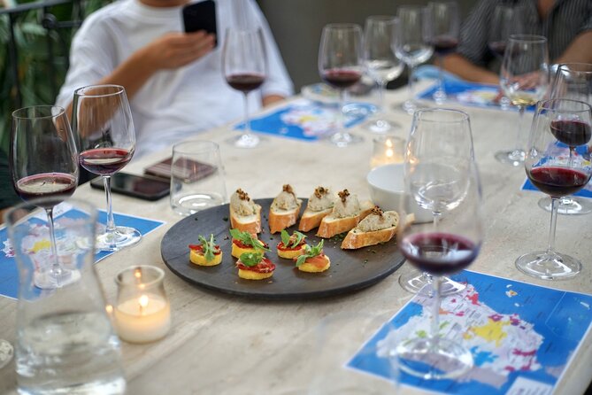 Wine Tasting Experience with a Professional Sommelier in Valencia City Center - Five Spanish wines in the heart of Valencia