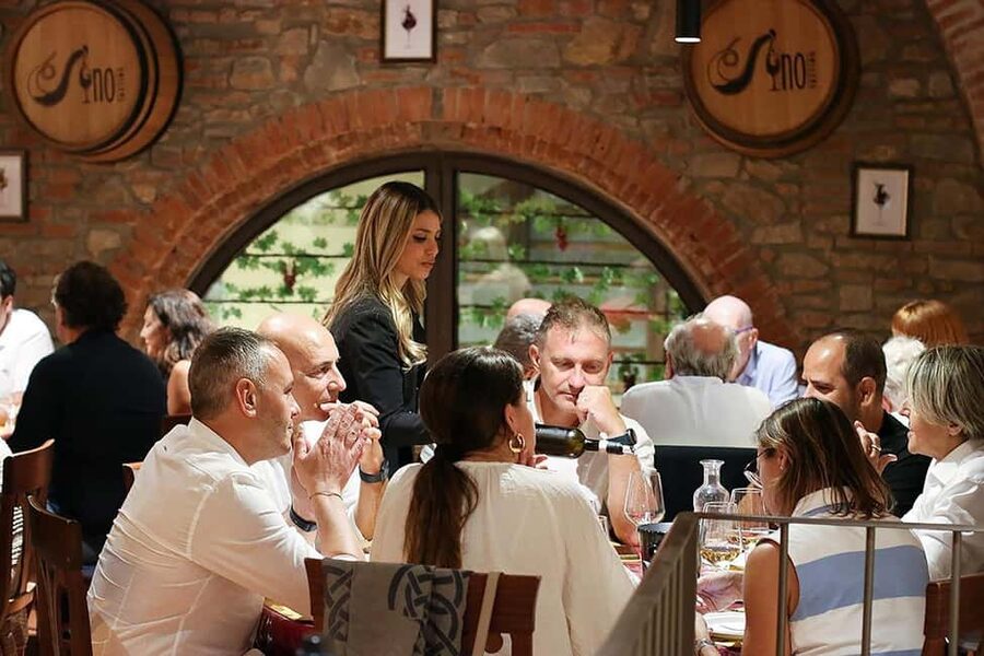 Wine Tasting Experience with Seven Types of Tuscan Wine - Timing, Alcohol, and Practical Limits
