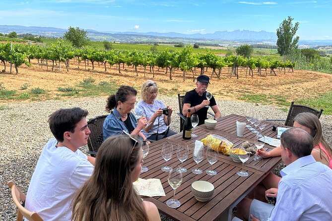 Wine Tasting in Three Boutique Wineries Tour - Max 8 people - What makes this Penedès day trip special
