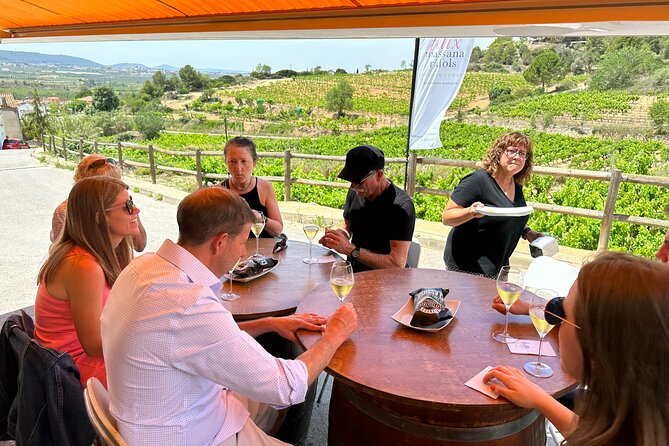 Wine Tasting in Three Boutique Wineries Tour - Max 8 people - Pares Balta: organic grapes and biodynamic ideas
