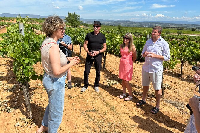 Wine Tasting in Three Boutique Wineries Tour - Max 8 people - Is $240.66 good value?