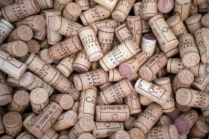 Wine tasting THE CLASSICS - Is $60.49 a fair price?