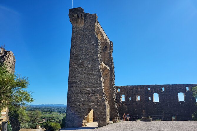 Wine Tasting Tour at Châteauneuf du Pape - Gordana’s guiding style