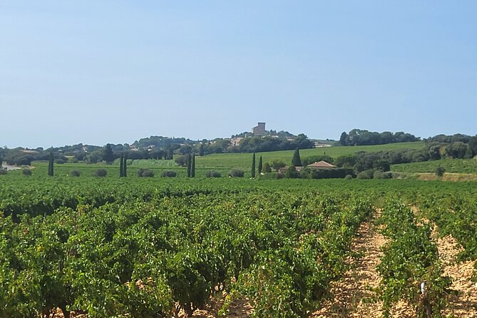 Wine Tasting Tour at Châteauneuf du Pape - Views beyond the tasting table