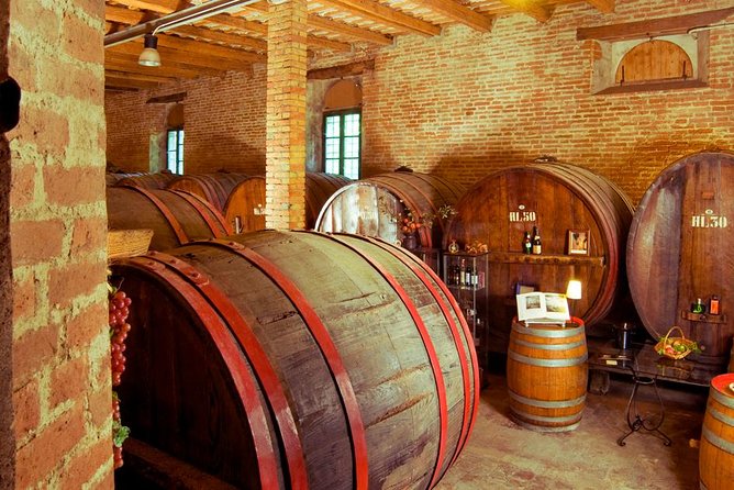 Wine Tour and Tasting at Le Marche's Oldest Wine Estate - Arriving at Antica Cantina Sant’Amico near Ancona