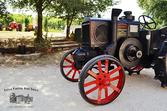 Wine Tour and Tasting at Le Marche's Oldest Wine Estate - Is $35.95 a fair price for one hour?