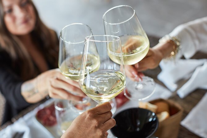 Wine Tour and Tasting of Lugana Wines in Desenzano - Starting at Famiglia Olivini near Desenzano