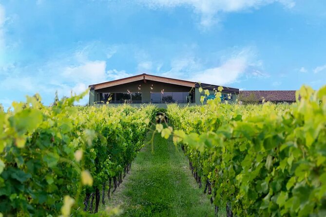 Wine Tour and Tasting of Lugana Wines in Desenzano - Why the two-hour format works