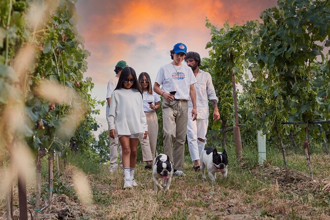 Wine Tour and Tasting of Lugana Wines in Desenzano - Who should book this winery visit