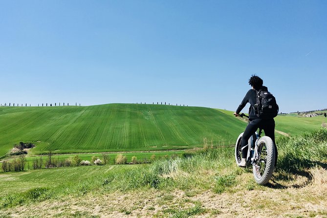 Wine Tour Ebike Experience - The first cellar brings the wine story into focus