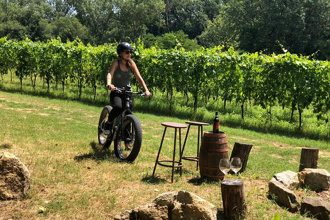 Wine Tour Ebike Experience - Lunch is flexible, but it changes the day