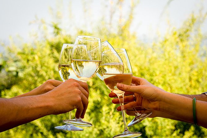 Wine Tour: Paarl, Franschhoek & Stellenbosch incl 3 wineries - The big appeal: three Cape Winelands regions in eight hours