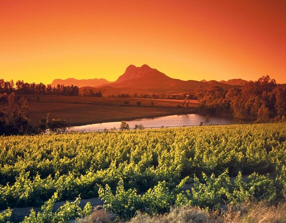 Wine Tour: Paarl, Franschhoek & Stellenbosch incl 3 wineries - Franschhoek: wine, lunch time and mountain scenery
