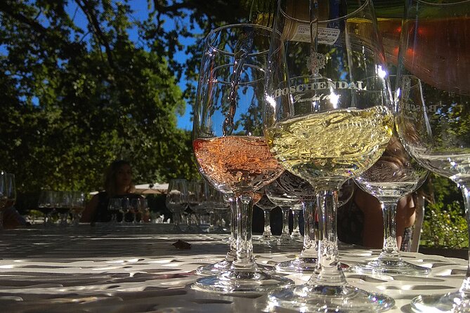 Wine Tour to Stellenbosch & Franschhoek with Tastings & Lunch - Why this tour earns such strong marks