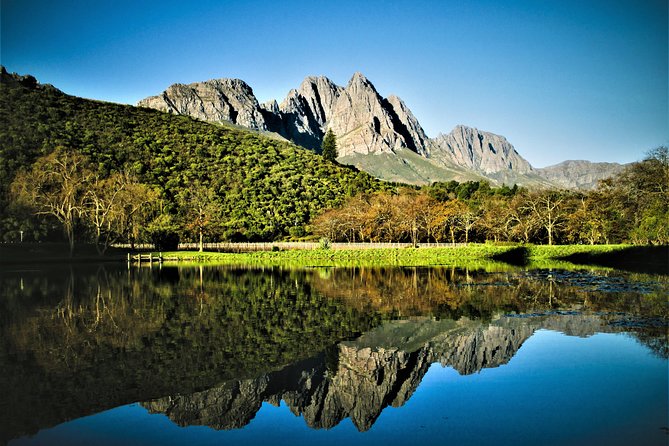 Wine Tour to Stellenbosch & Franschhoek with Tastings & Lunch - Who should book this Cape Winelands day?