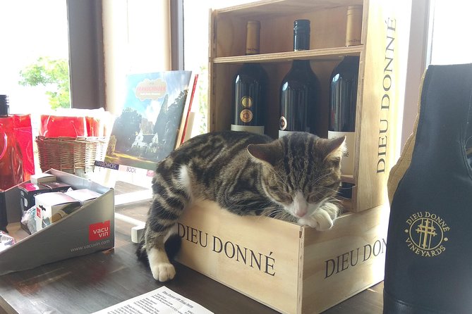 Wine Tour to Stellenbosch & Franschhoek with Tastings & Lunch - Franschhoek Cellar: lunch with time in town