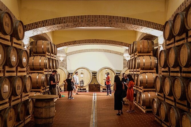 WINE TOUR with sommelier in a winery near Cagliari - Three wines and a practical tasting lesson