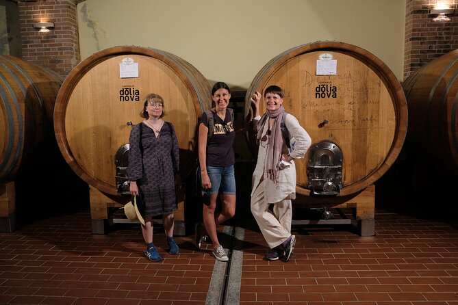 WINE TOUR with sommelier in a winery near Cagliari - Cantine di Dolianova: production before tasting