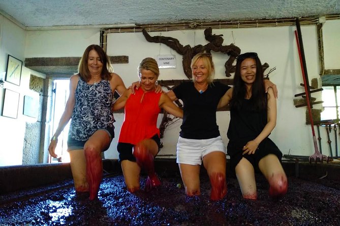 Wine Venture and Boat Trip in Douro Valley from Porto - Peso da Régua and the Long Winery Lunch