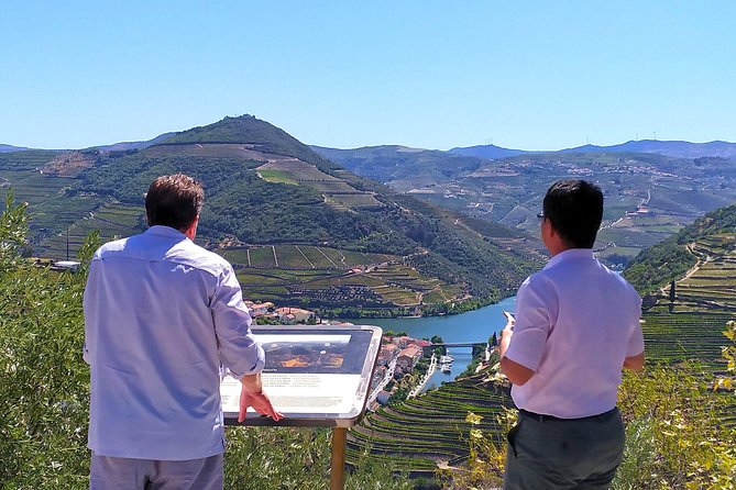 Wine Venture and Boat Trip in Douro Valley from Porto - What the Guides Add to the Day