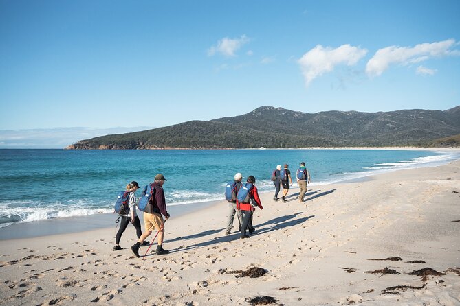 Wineglass Bay Cruise from Coles Bay - Lunch and the onboard food choice