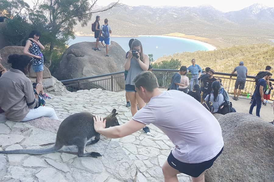 Wineglass Bay & Freycinet National Park Day Trip from Hobart - Wineglass Bay Lookout: the day’s main climb