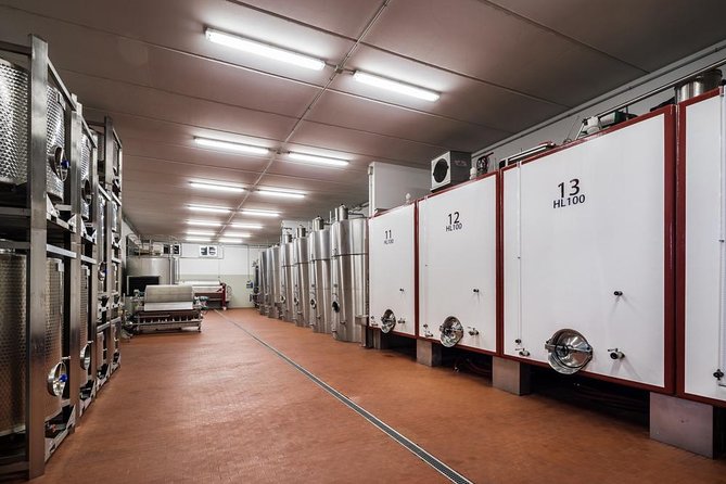 Winemaker for a Day: Tour an Organic Winery - Bruschette, cheeses, and Umbrian pairings