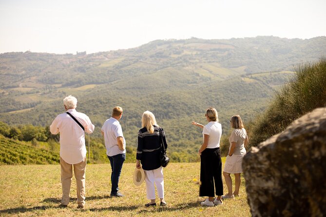 Winery tour & wine tasting in Montalcino - Walking the Brunello Cru path