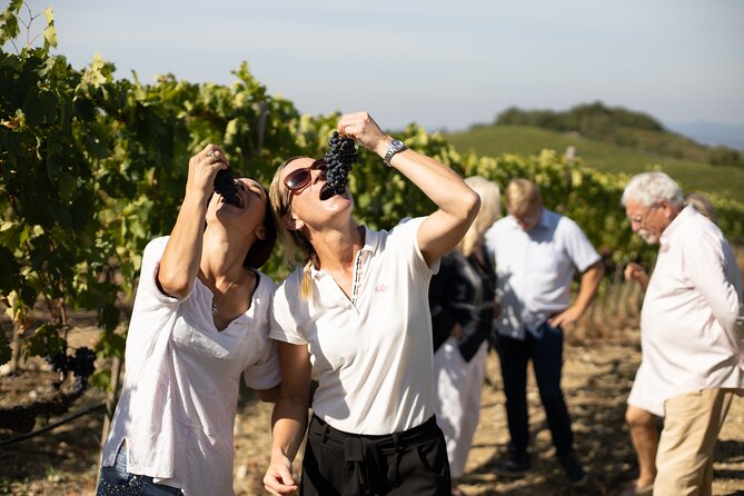 Winery tour & wine tasting in Montalcino - How much food comes with the tasting?