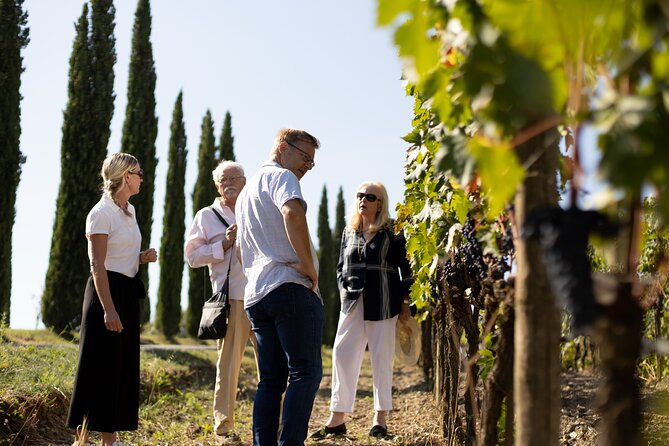 Winery tour & wine tasting in Montalcino - Practical details that affect your visit