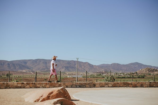 Xecue Wine Tasting in the Guadalupe Valley - Adding local food to the tasting
