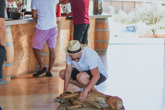 Xecue Wine Tasting in the Guadalupe Valley - Value, timing, and who should book