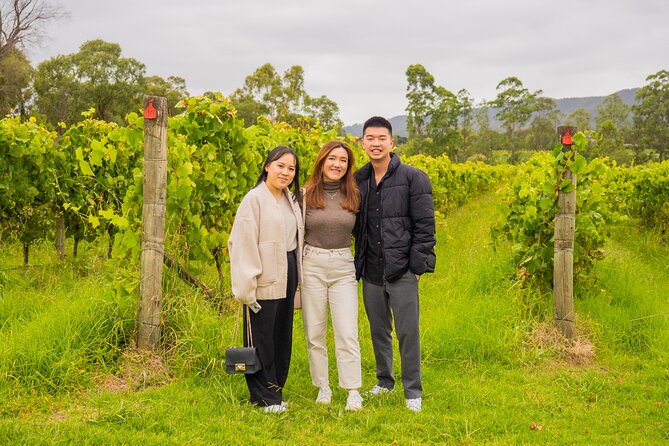 Yarra Valley Grazing Tour Wine, Cheese, Gin, Pizza from Melbourne - How the schedule feels over nine hours