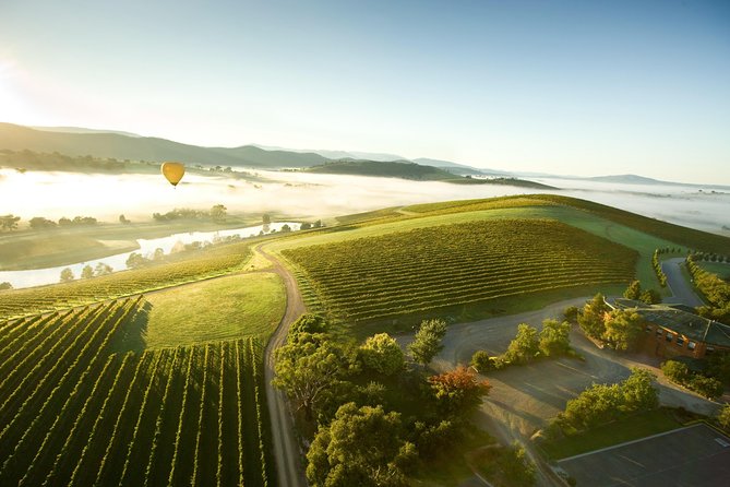 Yarra Valley Wine Day Tour - Why this Yarra Valley tour works well from Melbourne