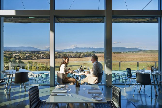 Yarra Valley Wine Day Tour - De Bortoli begins with estate wines and cheese
